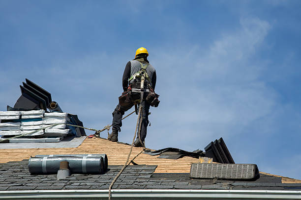 Professional Roof Installation technician working in Callao, VA